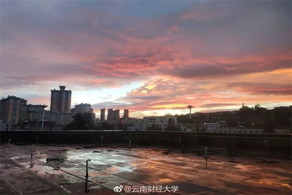 普京宣布俄军临时停火30小时!泽连斯基建议延长停火至30天