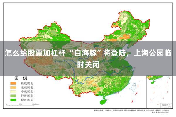 怎么给股票加杠杆 “白海豚”将登陆，上海公园临时关闭