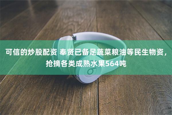 可信的炒股配资 奉贤已备足蔬菜粮油等民生物资，抢摘各类成熟水果564吨