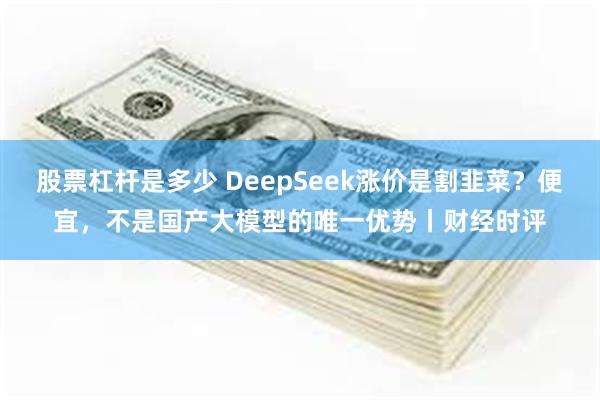 股票杠杆是多少 DeepSeek涨价是割韭菜？便宜，不是国产大模型的唯一优势丨财经时评