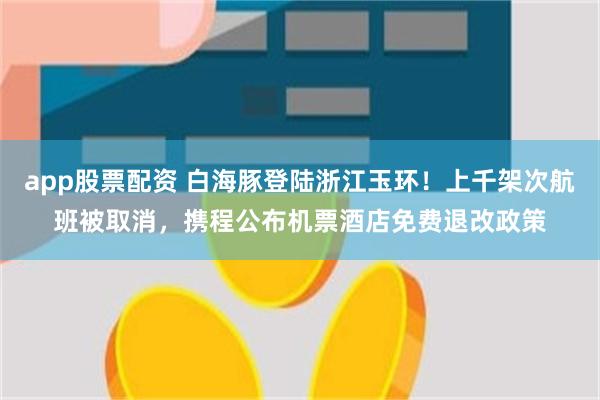 app股票配资 白海豚登陆浙江玉环！上千架次航班被取消，携程公布机票酒店免费退改政策