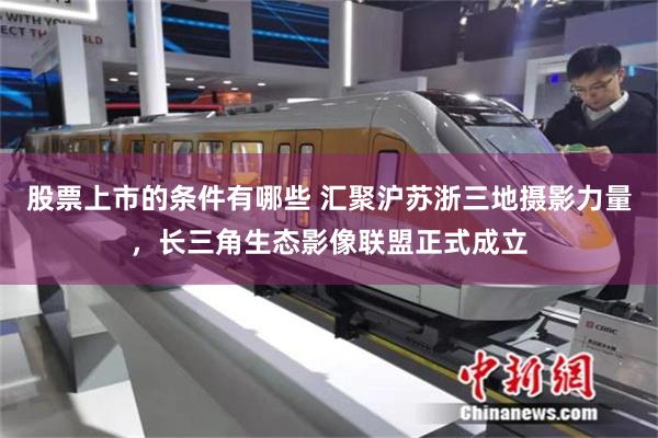 股票上市的条件有哪些 汇聚沪苏浙三地摄影力量，长三角生态影像联盟正式成立