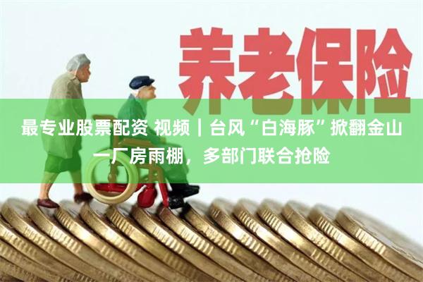 最专业股票配资 视频｜台风“白海豚”掀翻金山一厂房雨棚，多部门联合抢险