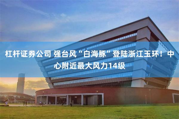 杠杆证券公司 强台风“白海豚”登陆浙江玉环！中心附近最大风力14级