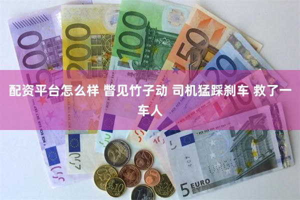 配资平台怎么样 瞥见竹子动 司机猛踩刹车 救了一车人