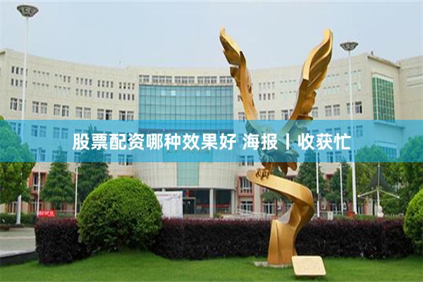 股票配资哪种效果好 海报丨收获忙