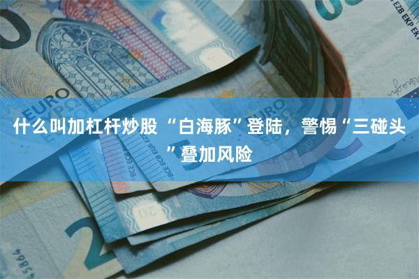 什么叫加杠杆炒股 “白海豚”登陆，警惕“三碰头”叠加风险
