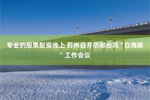 专业的股票配资线上 苏州召开防御台风“白海豚”工作会议