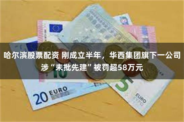 哈尔滨股票配资 刚成立半年，华西集团旗下一公司涉“未批先建”被罚超58万元