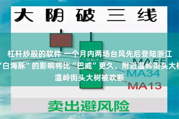 杠杆炒股的软件 一个月内两场台风先后登陆浙江玉环，“白海豚”的影响将比“巴威”更久，附近温岭街头大树被吹断
