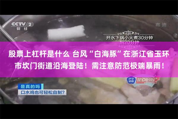 股票上杠杆是什么 台风“白海豚”在浙江省玉环市坎门街道沿海登陆！需注意防范极端暴雨！