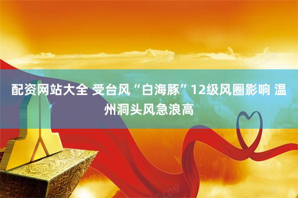 配资网站大全 受台风“白海豚”12级风圈影响 温州洞头风急浪高