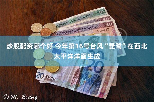 炒股配资哪个好 今年第16号台风“琵鹭”在西北太平洋洋面生成