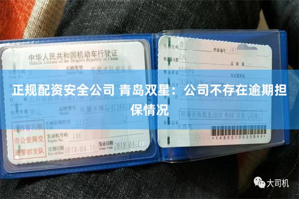 正规配资安全公司 青岛双星：公司不存在逾期担保情况