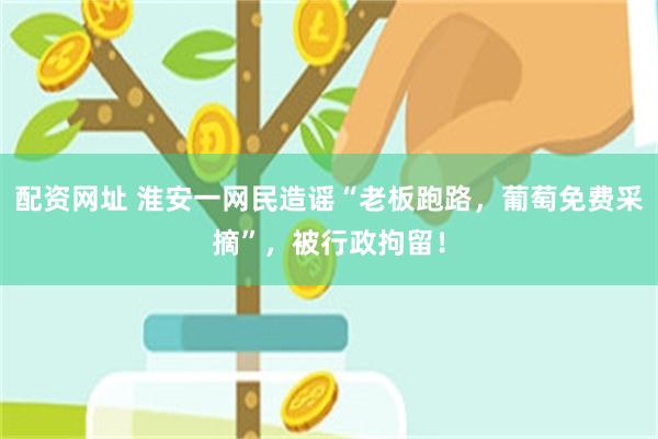 配资网址 淮安一网民造谣“老板跑路，葡萄免费采摘”，被行政拘留！